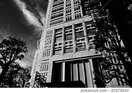 Autumn monochrome in Tokyo: Clear blue sky, heavy skyscrapers, and silhouetted roadside trees Autumn monochrome in Tokyo: Clear blue sky, heavy skyscrapers, and silhouetted roadside trees 83978042