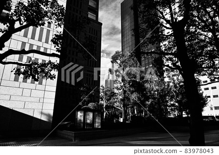 Autumn in Tokyo Skyscrapers in the gap between heavy skyscrapers and roadside trees and the blue sky in autumn Autumn in Tokyo Skyscrapers in the gap between heavy skyscrapers and roadside trees and the blue sky in autumn 83978043