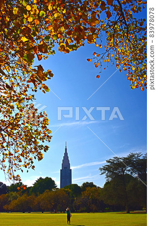 Fall scenery 83978078