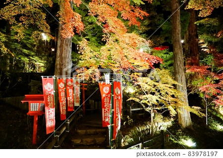 下呂溫泉：溫泉寺的紅葉 83978197