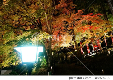 下呂溫泉：溫泉寺的紅葉 83978200