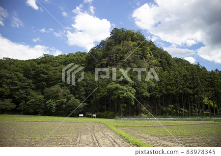 Wada water firefly village Wada water firefly village 83978345