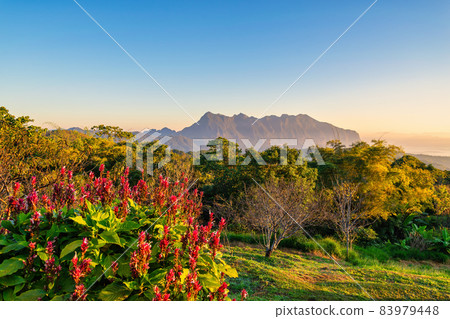 Tropical forest nature landscape view with mountain range at Doi Chiang Dao, Chiang Mai Thailand 83979448