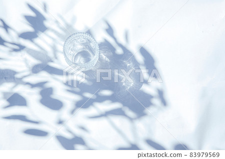 白色背景上有植物陰影和自然光的背景 83979569