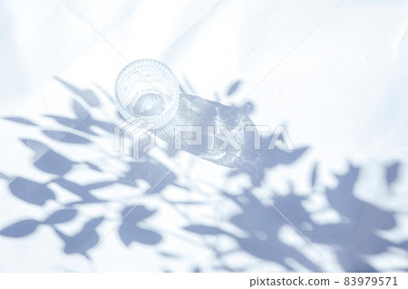 Background with shadows of plants and natural light on a white background 83979571