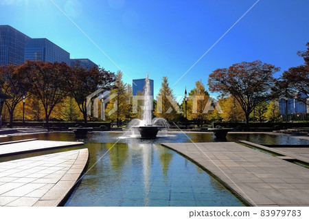 Wadakura Fountain Park and Gyoko-dori Ginkgo Trees 83979783