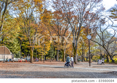 Tokyo cityscape Inokashira Park 83980084