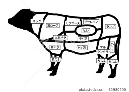 Beef part - Stock Illustration [83980200] - PIXTA