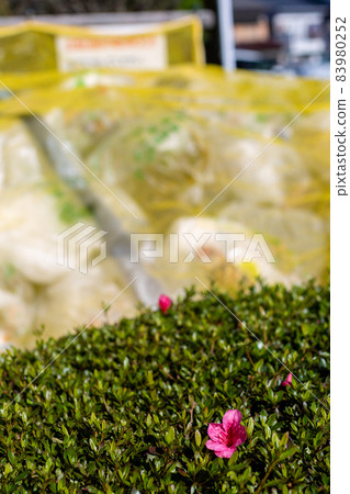 可燃垃圾日 83980252