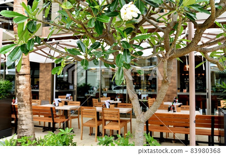 Holidays in Hawaii Holidays in Hawaii 83980368