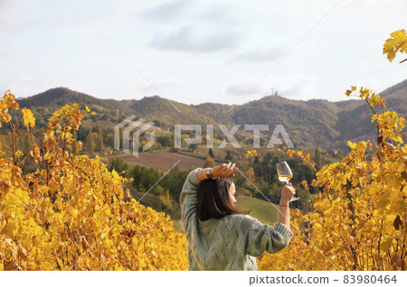 Woman with a glass of wine in the vineyards. Autumn hills in italy, tuscany. Gathering season when 83980464