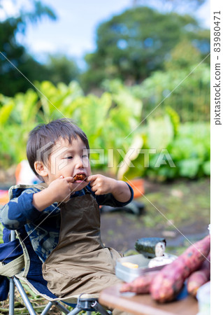 家庭土豆挖掘，紅薯田收穫 83980471