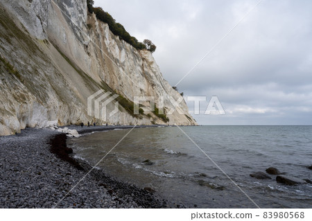 Beautiful chalk cliffs at Mons Klint in Denmark Beautiful chalk cliffs at Mons Klint in Denmark 83980568