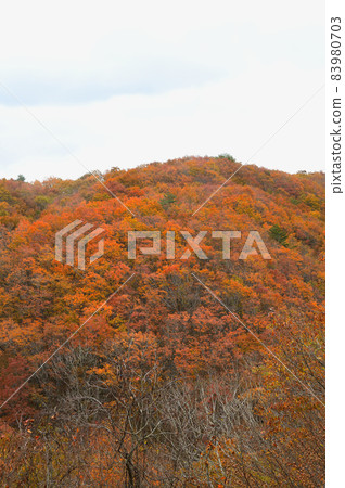 人形關的紅葉(岡山縣-鳥取縣) 人形關的紅葉(岡山縣-鳥取縣) 83980703