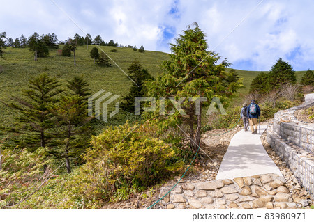 從長野縣天堂園原到富士見台高原的白色道路和徒步旅行者 83980971