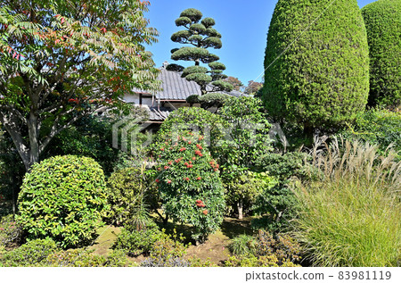 池上漫步：松映院國林日蓮宗 83981119