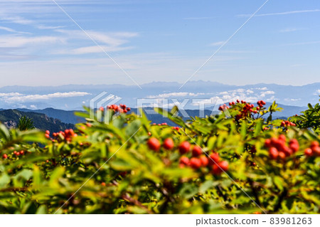白山初秋風光 白山初秋風光 83981263