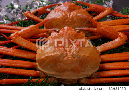雪蟹 83981613