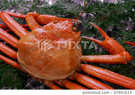 雪蟹 83981614