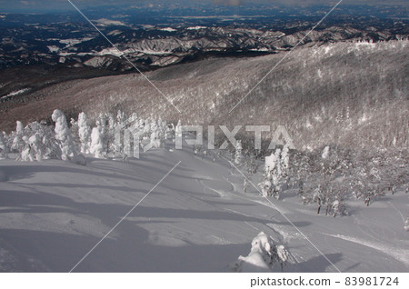 從雪山山頂滑雪下坡路線 從雪山山頂滑雪下坡路線 83981724