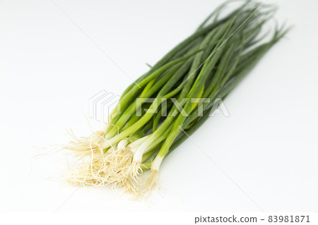 Small green background 83981871