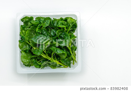 Organic fresh watercress or yellowcress in a square plastic box on white background, top view image, isolated on white background. 83982408