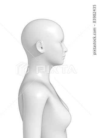 Female body, body, 3d Female body, body, 3d 83982435