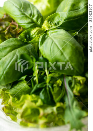 植物工廠的沙拉蔬菜,無需清洗即可食用 植物工廠的沙拉蔬菜,無需清洗即可食用 83983107
