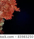 Autumn leaves 83983250