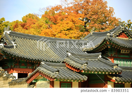 Autumn scenery of old palace, Changgyeonggung Autumn scenery of old palace, Changgyeonggung 83983351