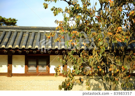 昌慶宮舊宮秋景 83983357