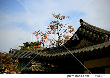 Autumn scenery of old palace, Changgyeonggung Autumn scenery of old palace, Changgyeonggung 83983368