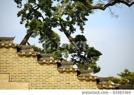 Autumn scenery of old palace, Changgyeonggung Autumn scenery of old palace, Changgyeonggung 83983369