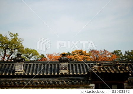 昌慶宮舊宮秋景 昌慶宮舊宮秋景 83983372