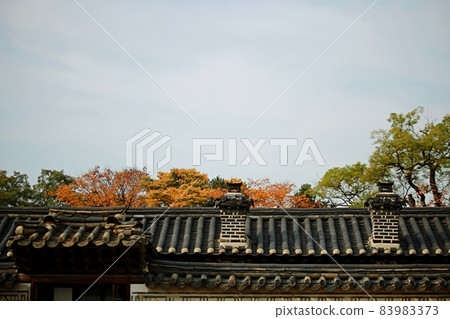Autumn scenery of old palace, Changgyeonggung 83983373