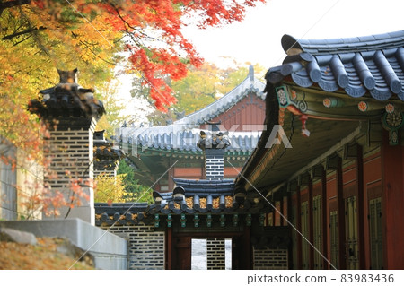 昌慶宮舊宮秋景 昌慶宮舊宮秋景 83983436