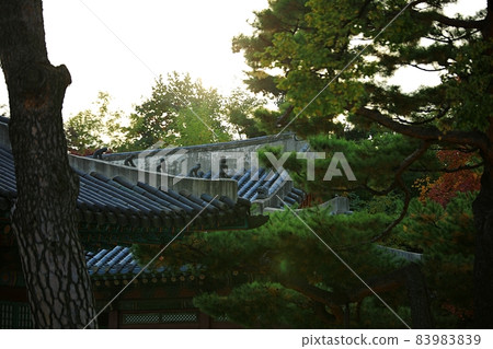 昌慶宮舊宮秋景 昌慶宮舊宮秋景 83983839