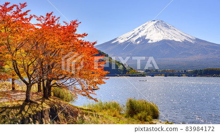 在Mt. Kawaguchiko和富士山的秋季葉子 83984172