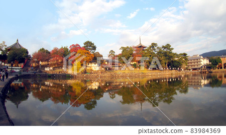 Sarusawa Pond of autumn leaves 83984369