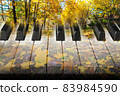 art photo double exposure with piano keys and autumn maple leaves 83984590
