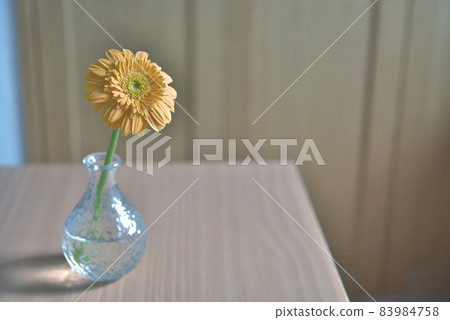 Gerbera in a slightly lonely vase Gerbera in a slightly lonely vase 83984758