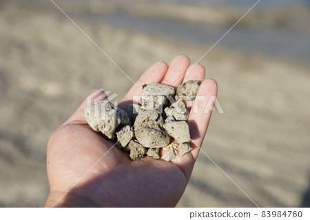 Hand holding a pumice stone falling on the beach of Okinawa Hand holding a pumice stone falling on the beach of Okinawa 83984760