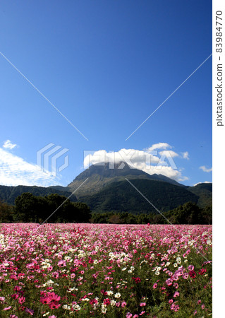島原雲雀三花公園秋季宇宙庭園和平成神山風景 島原雲雀三花公園秋季宇宙庭園和平成神山風景 83984770