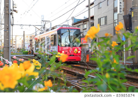 從荒川遊樂園前的荒川車庫出發的都電荒川線 從荒川遊樂園前的荒川車庫出發的都電荒川線 83985874