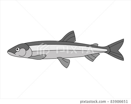 Marine, river fish on an isolated background. Vector illustration in doodle style. 83986651