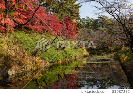 Hirosaki castle in autumn Hirosaki castle in autumn 83987283