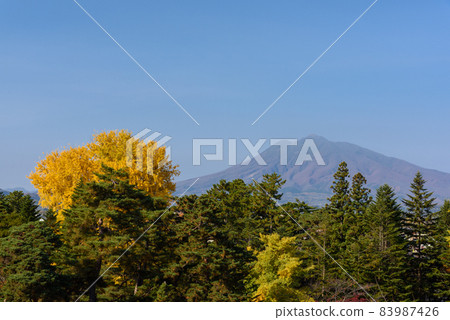 Autumn leaves and Mt. Iwaki Autumn leaves and Mt. Iwaki 83987426