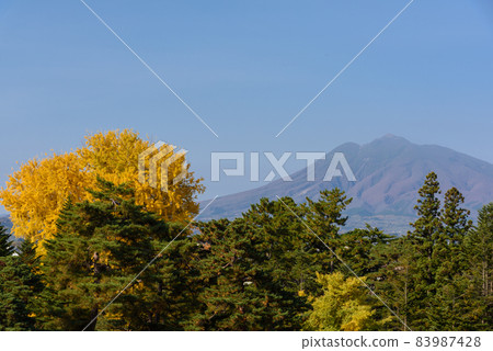 Autumn leaves and Mt. Iwaki Autumn leaves and Mt. Iwaki 83987428