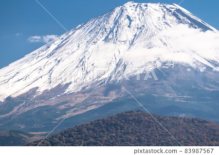 《山梨縣》秋天的富士山、精進湖湖畔 83987567