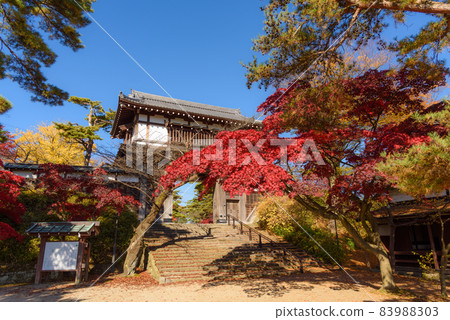 Autumn leaves of Chiaki Park Autumn leaves of Chiaki Park 83988303
